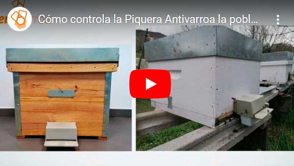 video-02