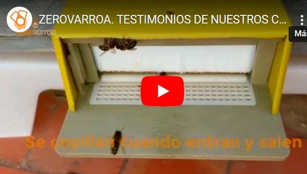 video-05